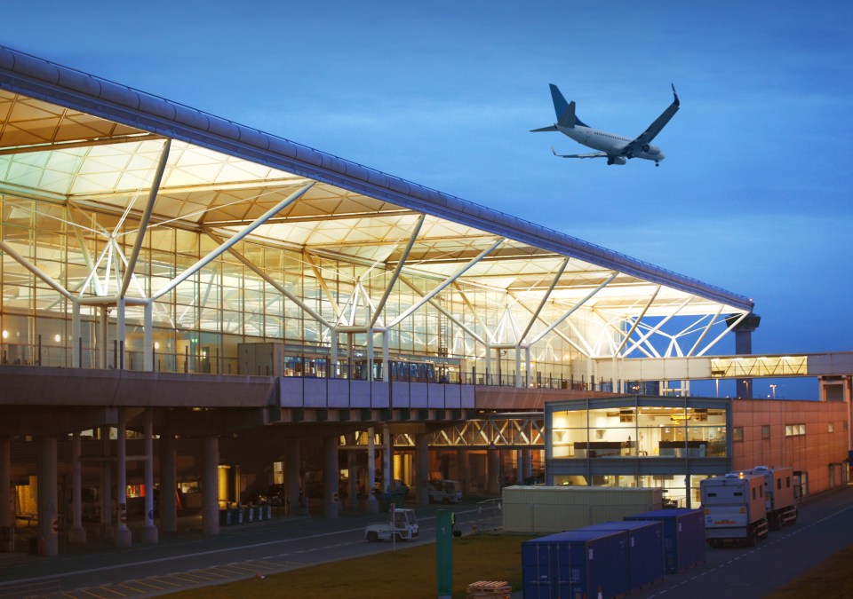 Police raided the plane on which the teen was travelling and seized his luggage where they made the shocking discovery