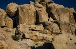 Can you spot where the missing person in this picture is? You'll have to take a very close look