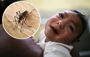 Warning for Brit tourists heading to Florida after fears of Zika outbreak in U.S.