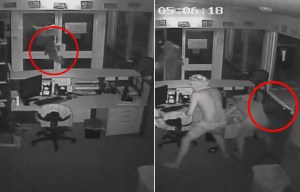 Vandals release three live saltwater CROCODILES into school during late-night break-in in Australia