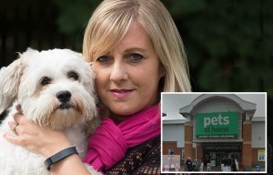 Furious pet owner slams Pets At Home after her beloved pooch had his 'testicles burned' during haircut