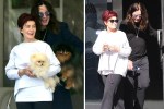 composite-osbournes