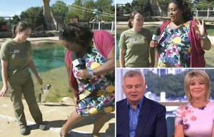 Alison Hammond gets BITTEN live on This Morning by a penguin