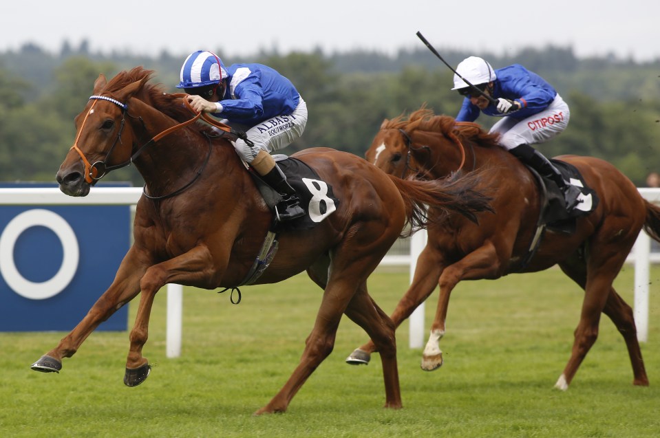  Mutakayyef (left) has run well at the top level