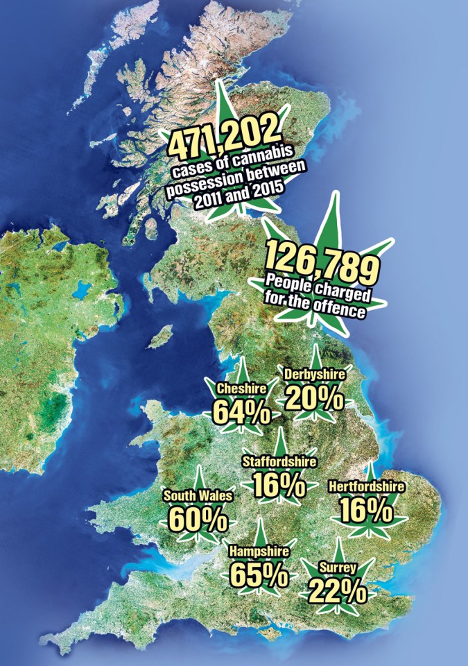 graphic cannabis map