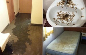 Off on your holiday? Just make sure you’re not staying in one of these gross hotel rooms