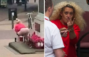 Mum-of-five who urinated on war memorial heckles war veteran in court as judge slams her lack of remorse