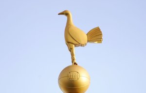 Tottenham Hotspur relegate catering firm after health inspectors find BUGS and mice poo in stadium