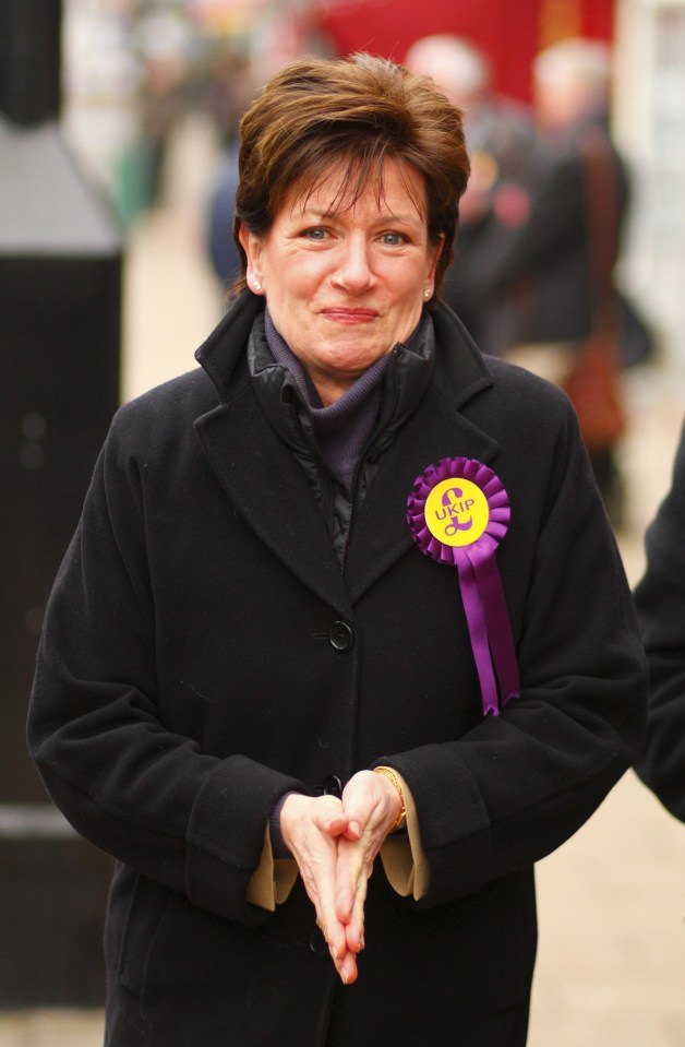 It's now thought Diane James, Ukip's Home Affairs Spokesperson, is the favourite to win the leadership