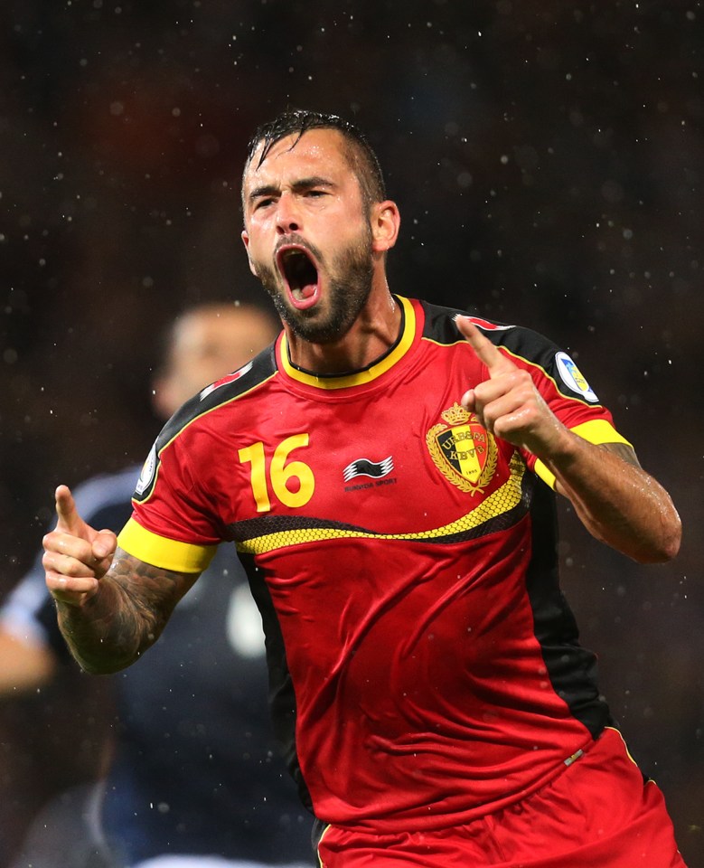 Central midfielder Defour has racked up 46 caps for Belgium