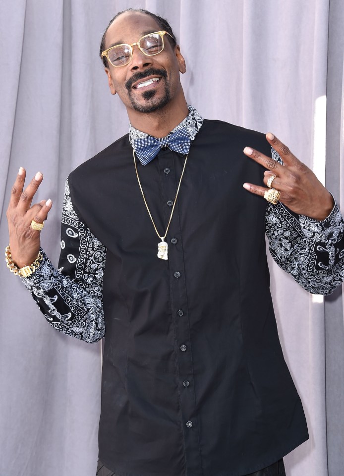 Snoop thinks of Mary as his 'homegirl' 