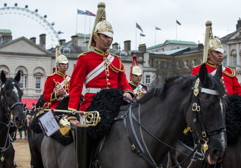 The ceremonial duties at the Changing of the Guard are usually carried out by the Household cavalry