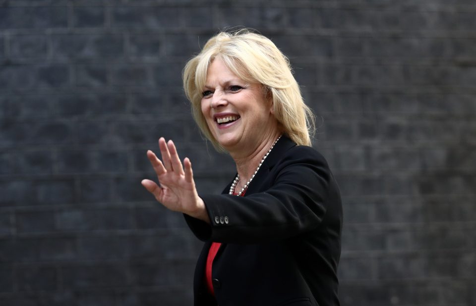 Anna Soubry