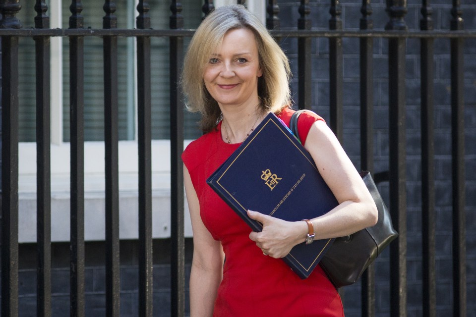 Justice Secretary Liz Truss will enforce mandatory tests for the powerful new narcotics