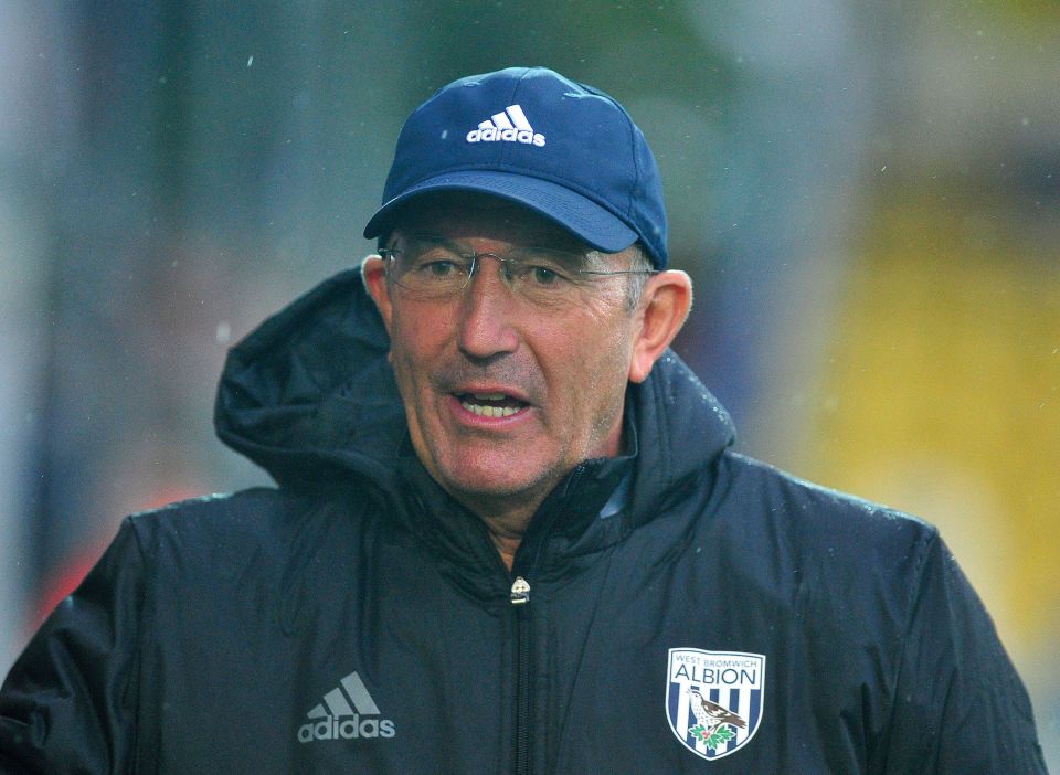 Torquay United v West Bromwich Albion - Pre-Season Friendly - Plainmoor