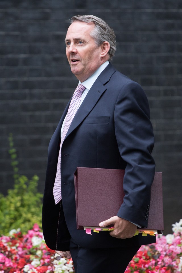 FAMEFLYNET - Secretaries Of State Arrive At Downing Street For The EISC Meeting