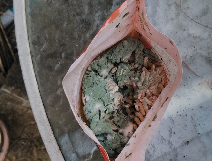 This is the mouldy packet of rice bought by Jay Byrne from Aldi