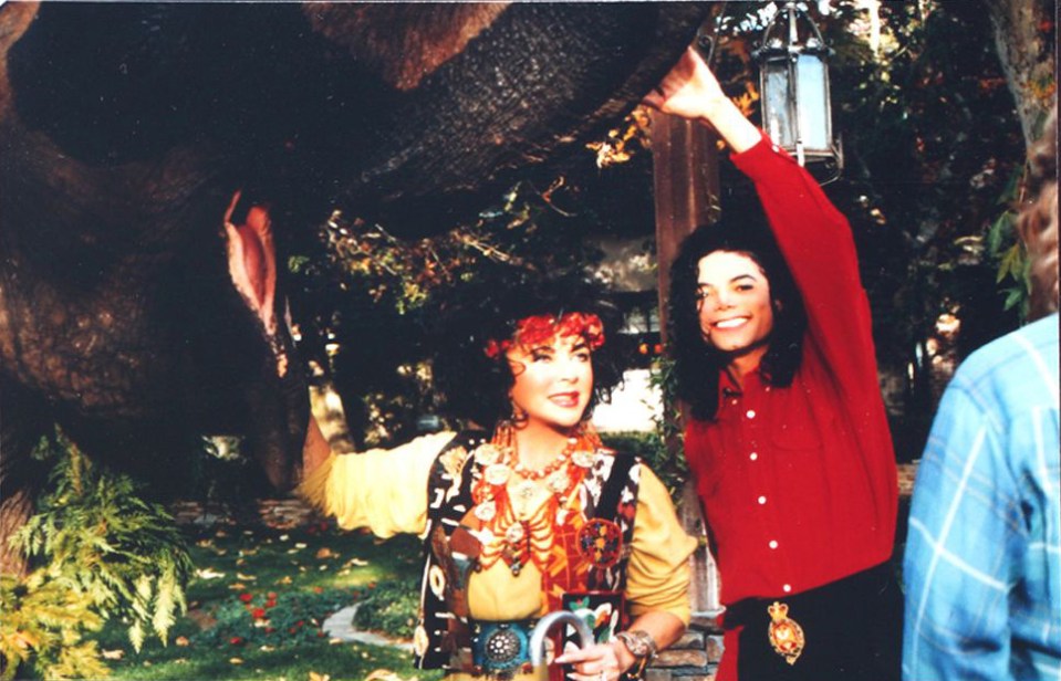 Pair were known for their extravagant gifts, with Jackson giving Liz a wall-sized tapestry of her face