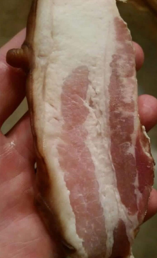 Bacon nipple