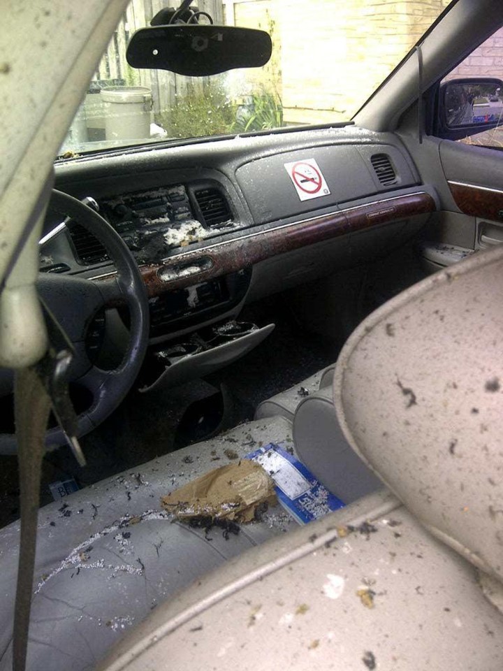 A second images shows the blackened and mangled dashboard remained in one piece
