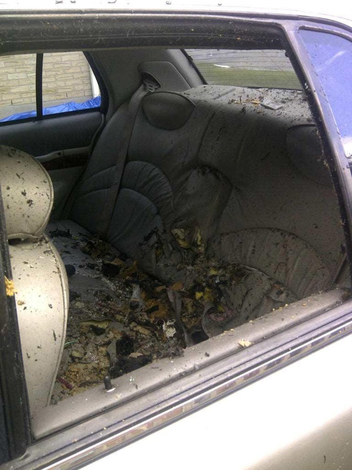 The backseat of the taxi was torn to shreds in the bomb blast in Ontario yesterday