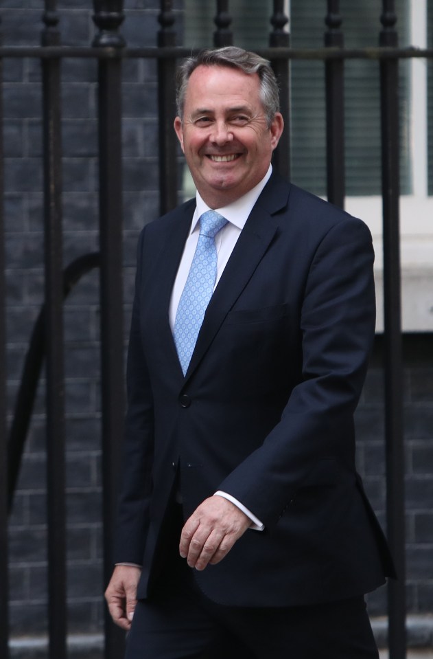 Liam Fox has written to Boris Johnson outlining his demands