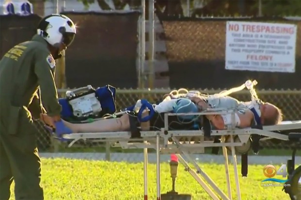 gator bite