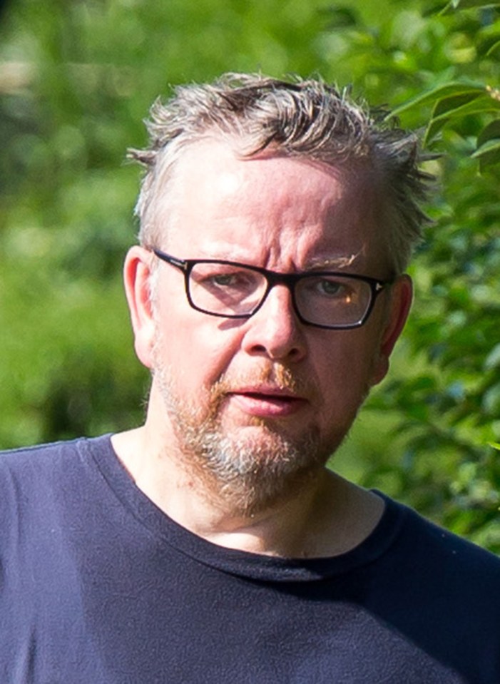 Michael Gove has been spotted with a new 'hipster' beard today
