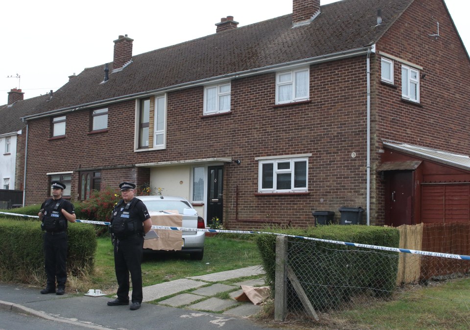 A boy has died after being mauled by a dog in Essex