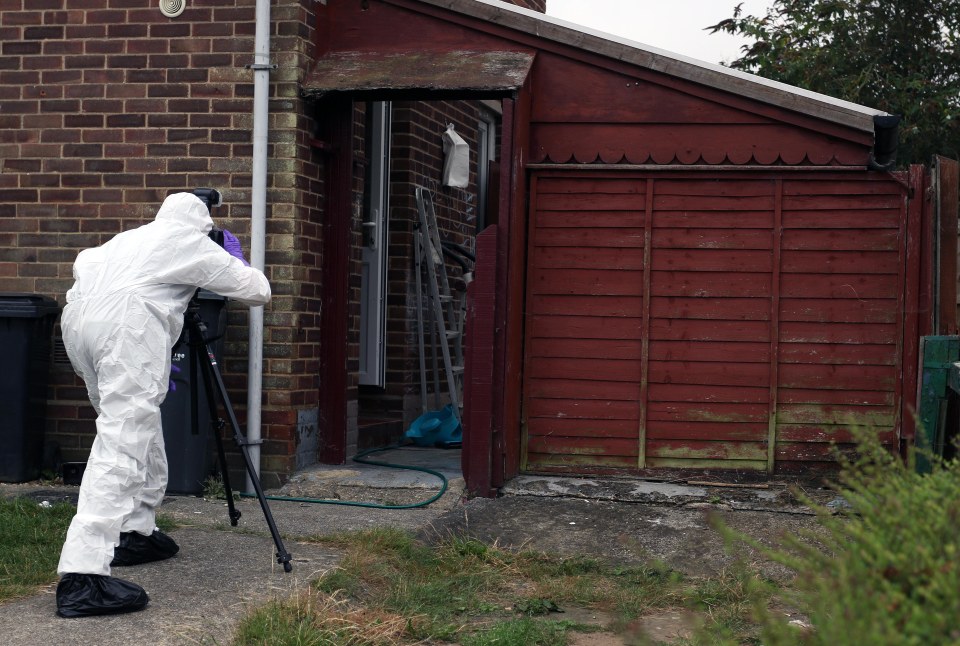 Boy mauled by dog in Essex