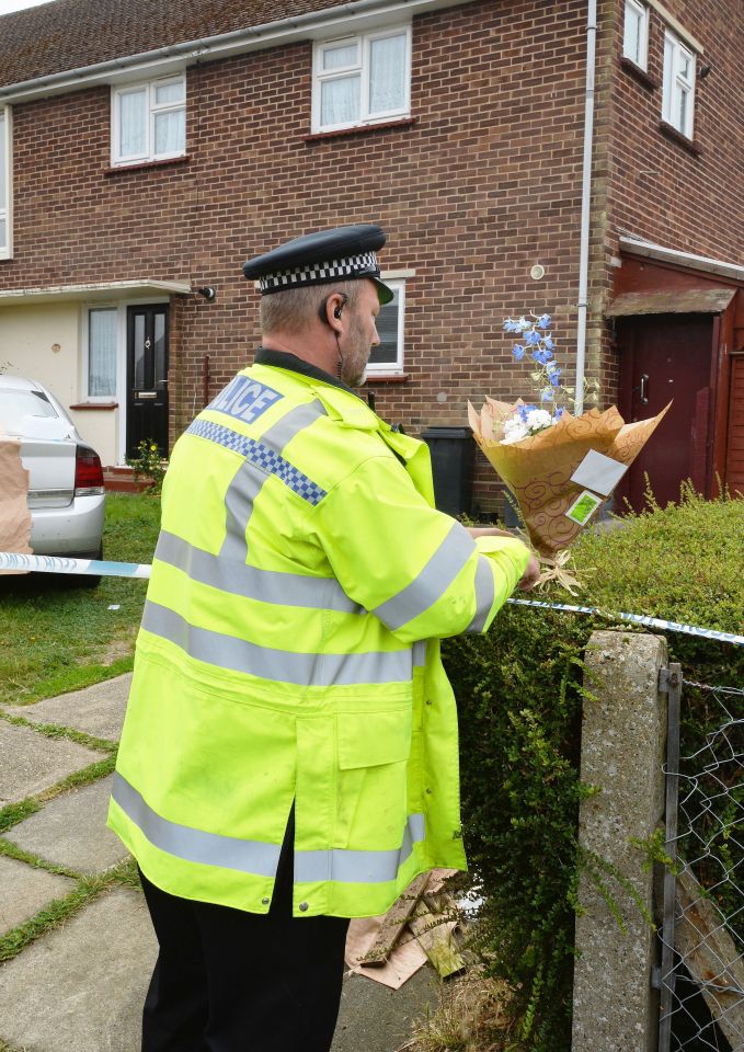 Boy killed by dog in Essex