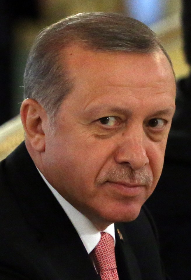 Turkish President Erdogan Meets President Putin