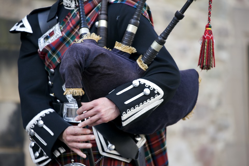 The problem was discovered when a 61-year-old bagpipe player died of the specific lung allergy