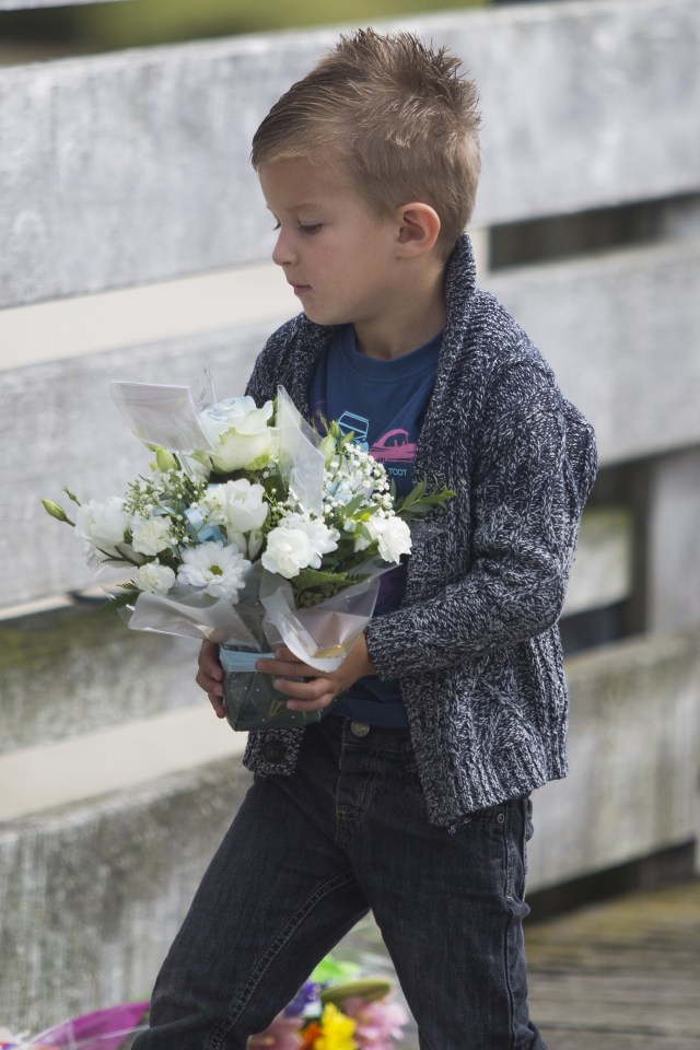 Shoreham air disaster