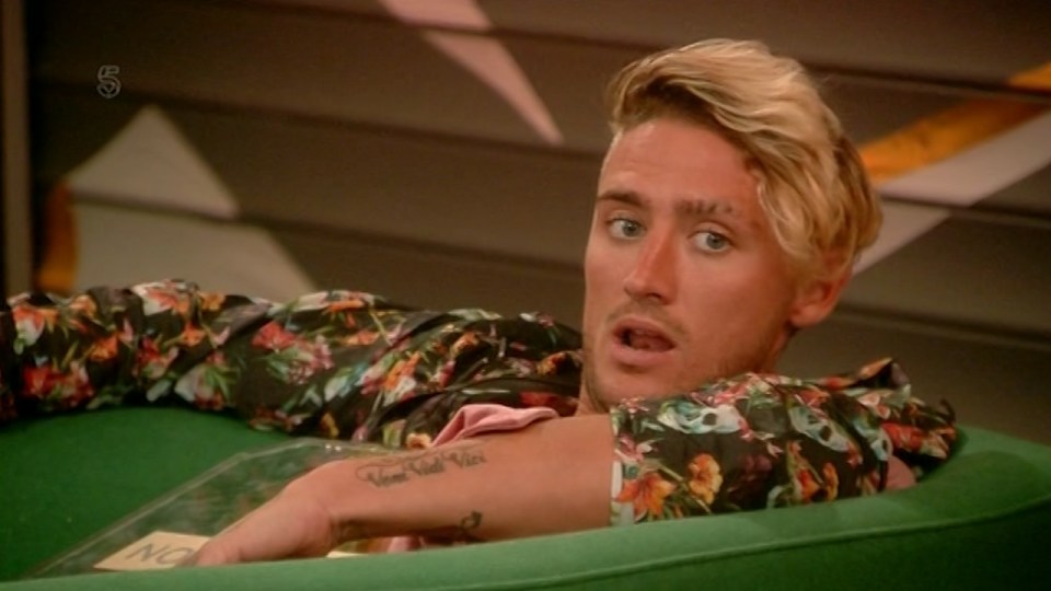 Stephen bear