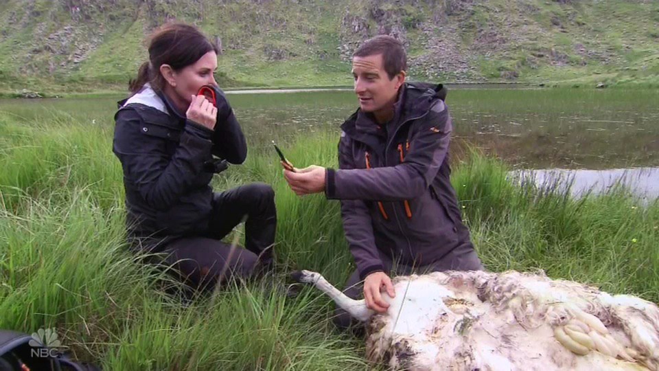Courteney Cox freaks out over eating rotting sheep and descending a cliff on Running Wild with Bear Grylls