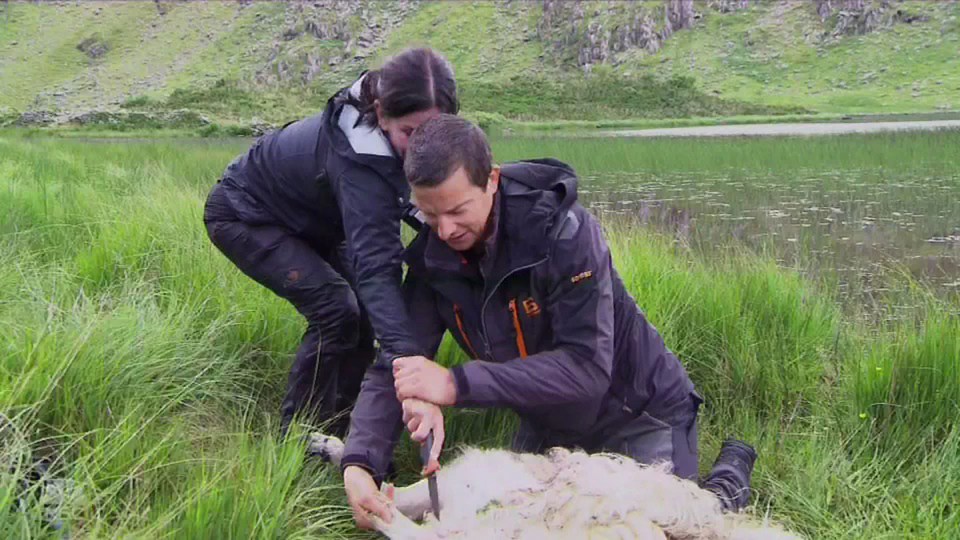 Courteney Cox freaks out over eating rotting sheep and descending a cliff on Running Wild with Bear Grylls