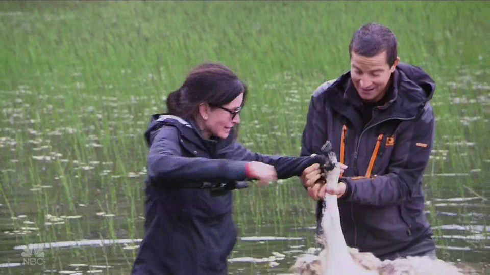Courteney Cox freaks out over eating rotting sheep and descending a cliff on Running Wild with Bear Grylls