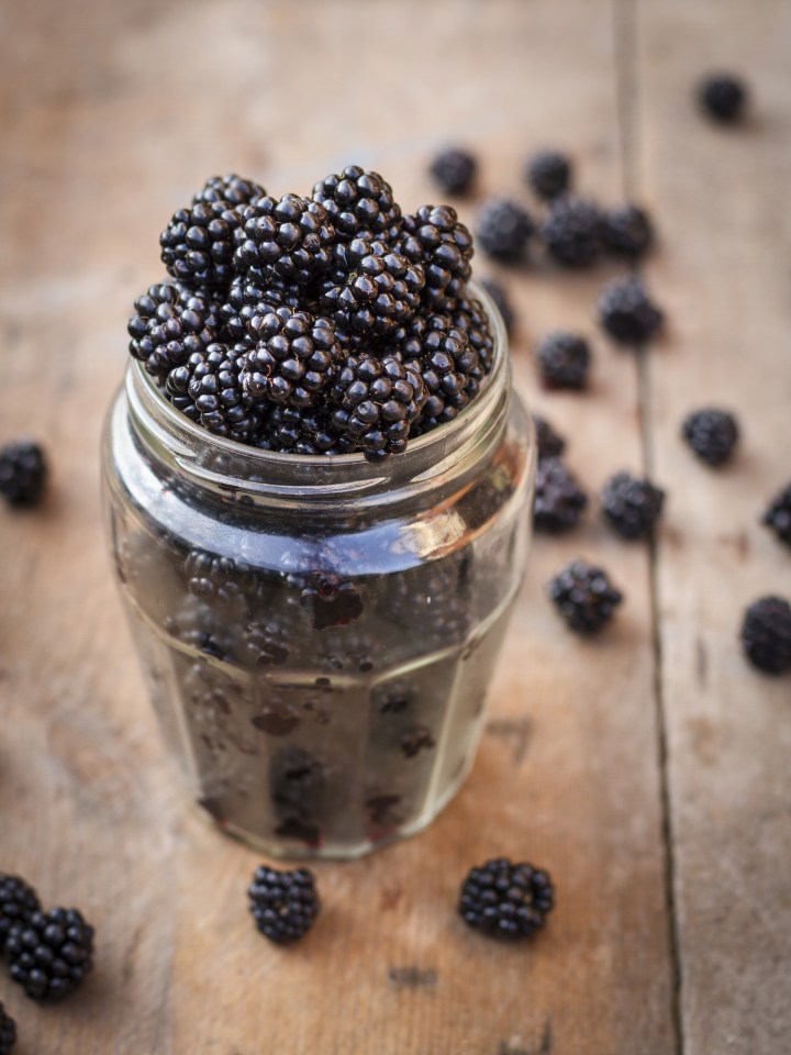 Munching on blackberries will help you get plenty of antioxidants 