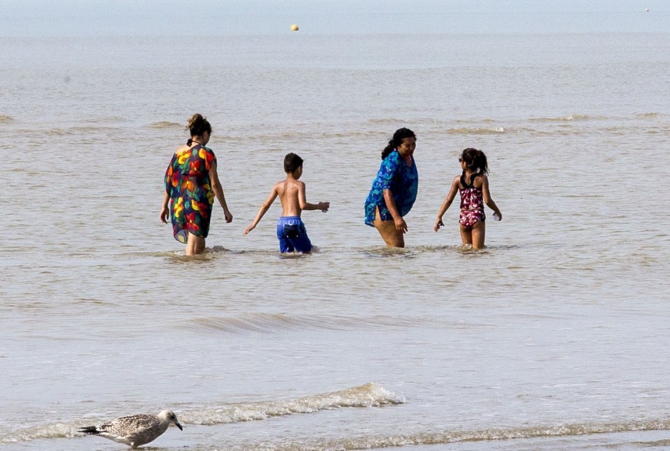 Camber Sands