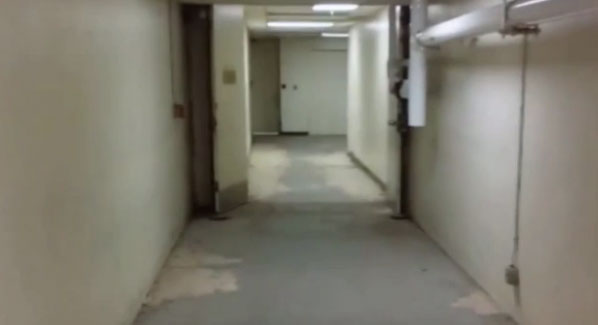 The user who posted the footage revealed 'The sounds are the same almost every night'
