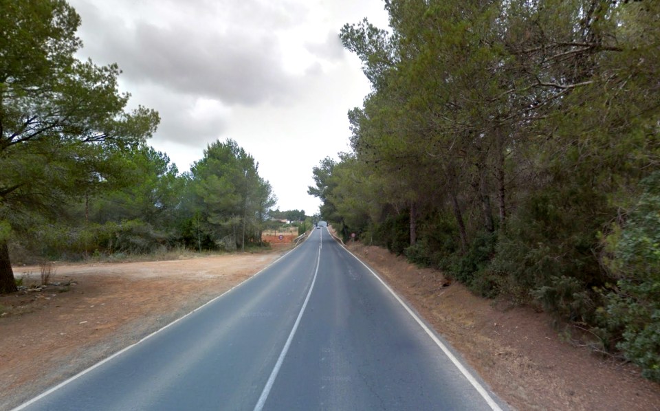 Woman was struck as she 'walked home from night out' according to local reports