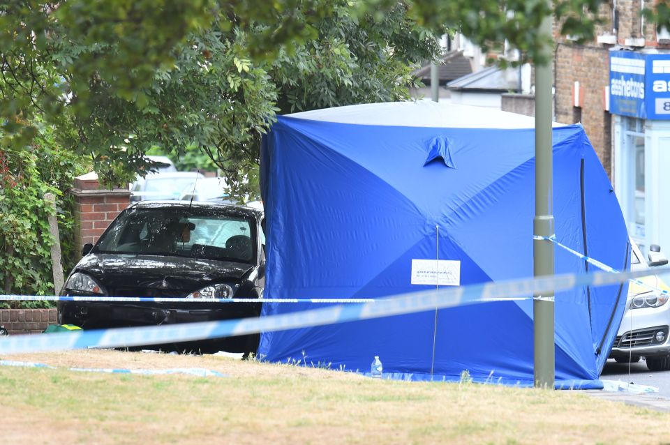 It was reported a child may have been in the back seat of the car - leading to fears of an abduction