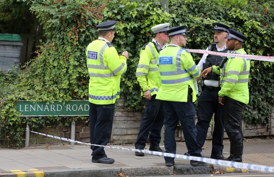 The tragic crash occurred this afternoon on Lennard Road, Penge, in south London