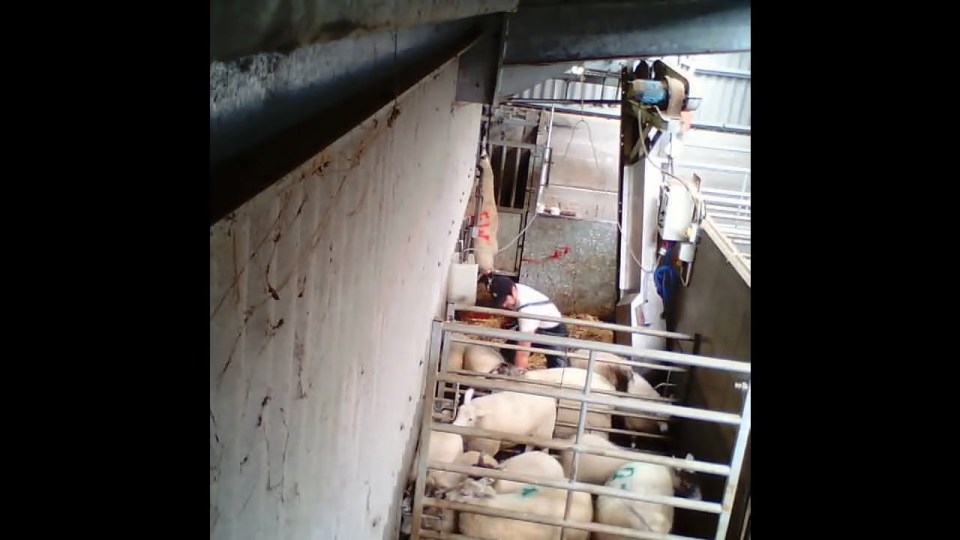 NTICRUEL.mp4.00_05_03_21.Still015