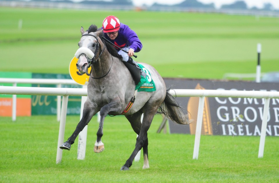  Success Days needs soft ground to be at his best