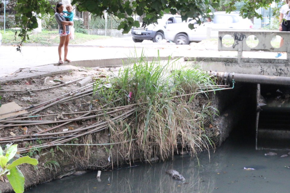 Residents_live_with_the_daily_fear_that_the_alligators_can_get_out_-Â®_Robson_Coelho_Foco_News_Agency[1]