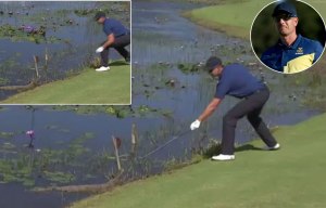 Henrik Stenson spots an alligator lurking in the water and then prods it with a golf club