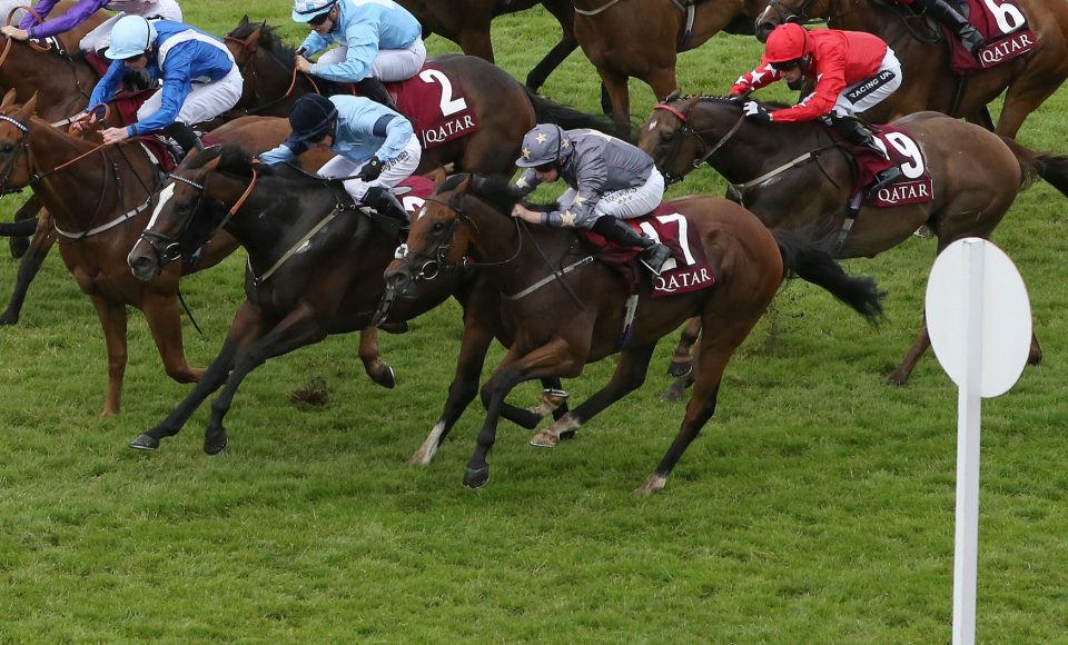  Growl (grey cap) was fourth in this race last year