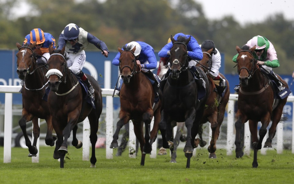 Racing History was a close fourth behind Fascination Rock in last year's Champion Stakes